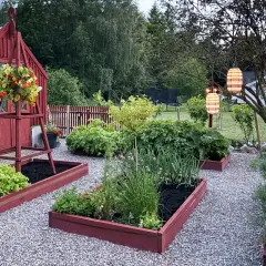 En lummig trädgård med röda pallkragar som inspirerar till odling. Grönsaksland och blommor samsas under hängande lyktor.