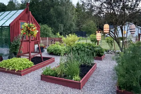 En lummig trädgård med röda pallkragar som inspirerar till odling. Grönsaksland och blommor samsas under hängande lyktor.