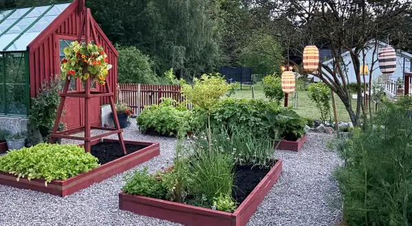En lummig trädgård med röda pallkragar som inspirerar till odling. Grönsaksland och blommor samsas under hängande lyktor.