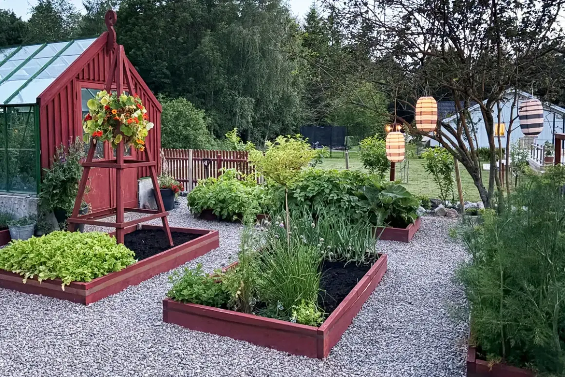 En lummig trädgård med röda pallkragar som inspirerar till odling. Grönsaksland och blommor samsas under hängande lyktor.