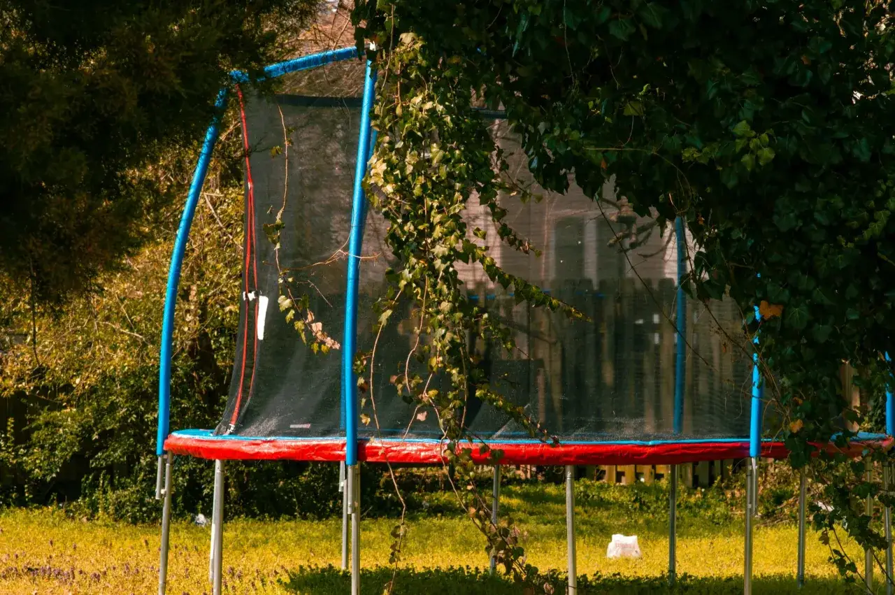 En blå studsmatta med röd kant står i en grönskande trädgård. Klätterväxter slingrar sig över nätet, som om någon redan börjat montera studsmatta.