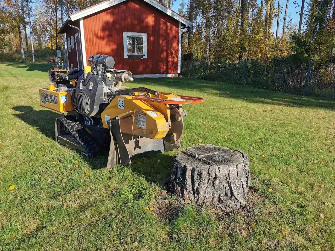 En gul stubbfräs står redo att ta bort stubbe på en gräsmatta framför ett rött hus.