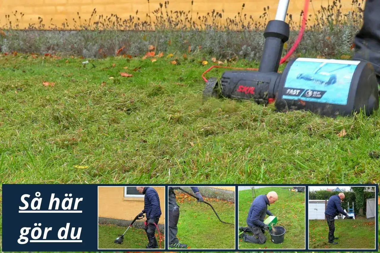 Man anv&auml;nder en vertikalsk&auml;rare f&ouml;r att ta bort mossa och d&ouml;d vegetation fr&aring;n gr&auml;smattan. Bilden visar steg f&ouml;r steg hur man g&ouml;r.