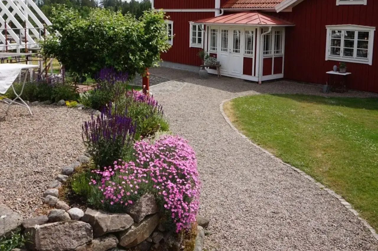 En charmig cottage garden med röda huset, grusgång och blomstrande rabatter i lila och rosa.